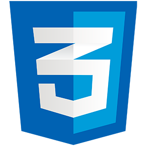 CSS